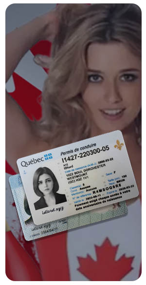 CA fake id series, CA fake driver's license